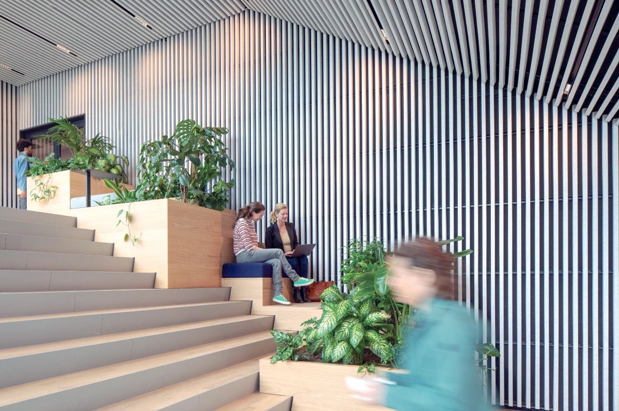 WhatsApp Image 2025-03-06 at 8.52.02 PM (1).jpeg