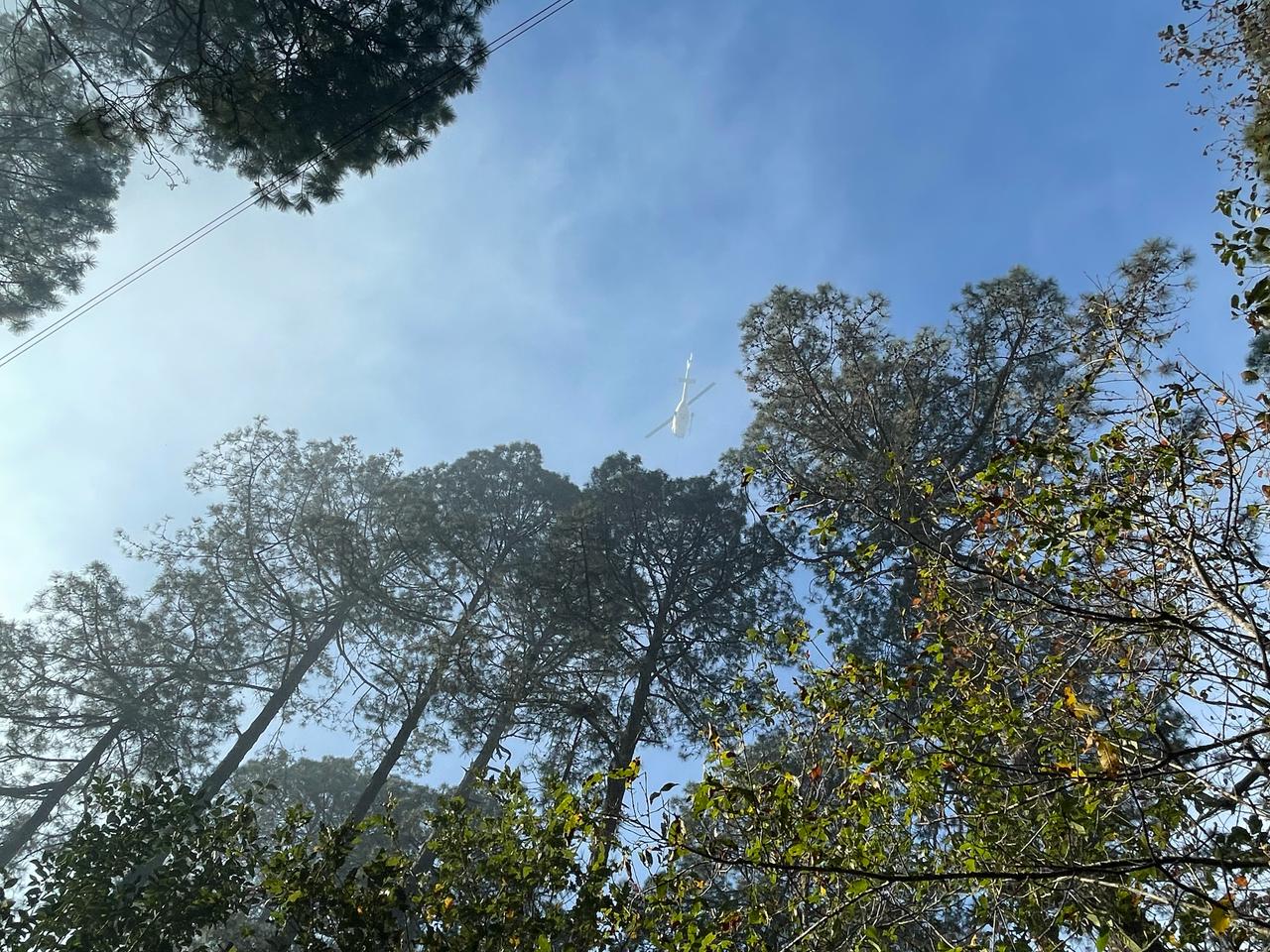 WhatsApp Image 2025-03-07 at 9.25.59 AM.jpeg