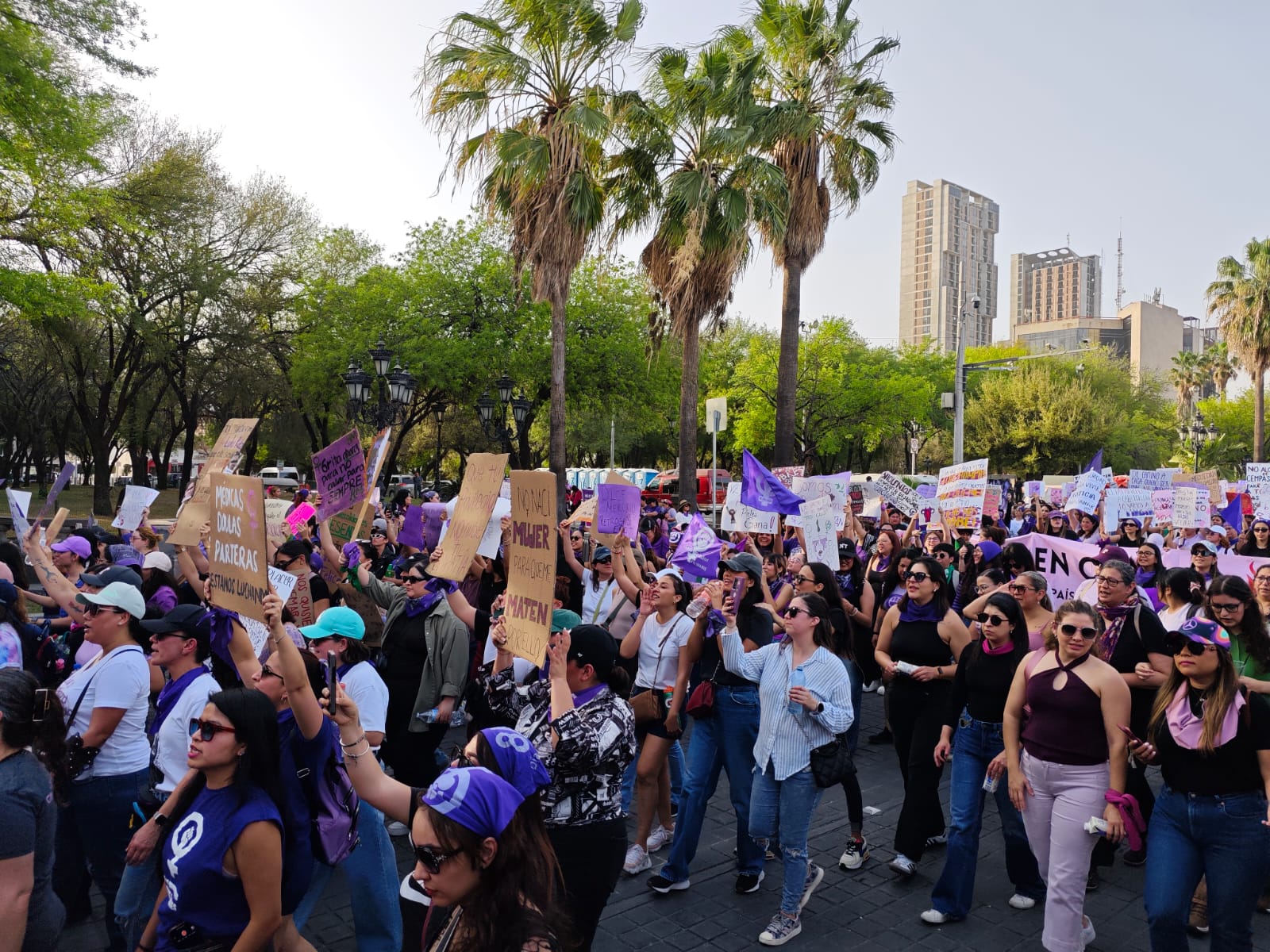 WhatsApp Image 2025-03-08 at 6.03.44 PM.jpeg