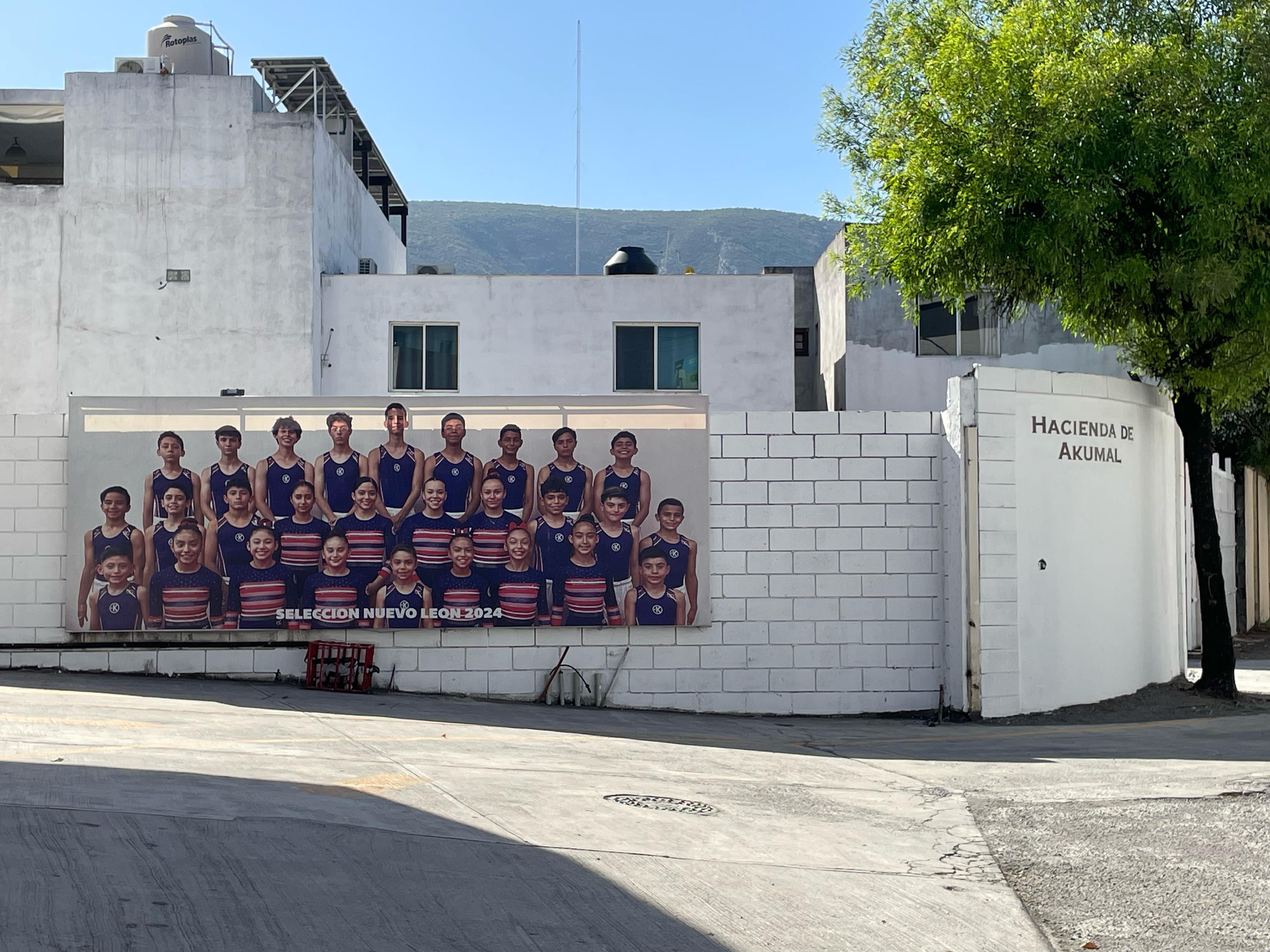 WhatsApp Image 2025-03-10 at 4.29.29 PM.jpeg