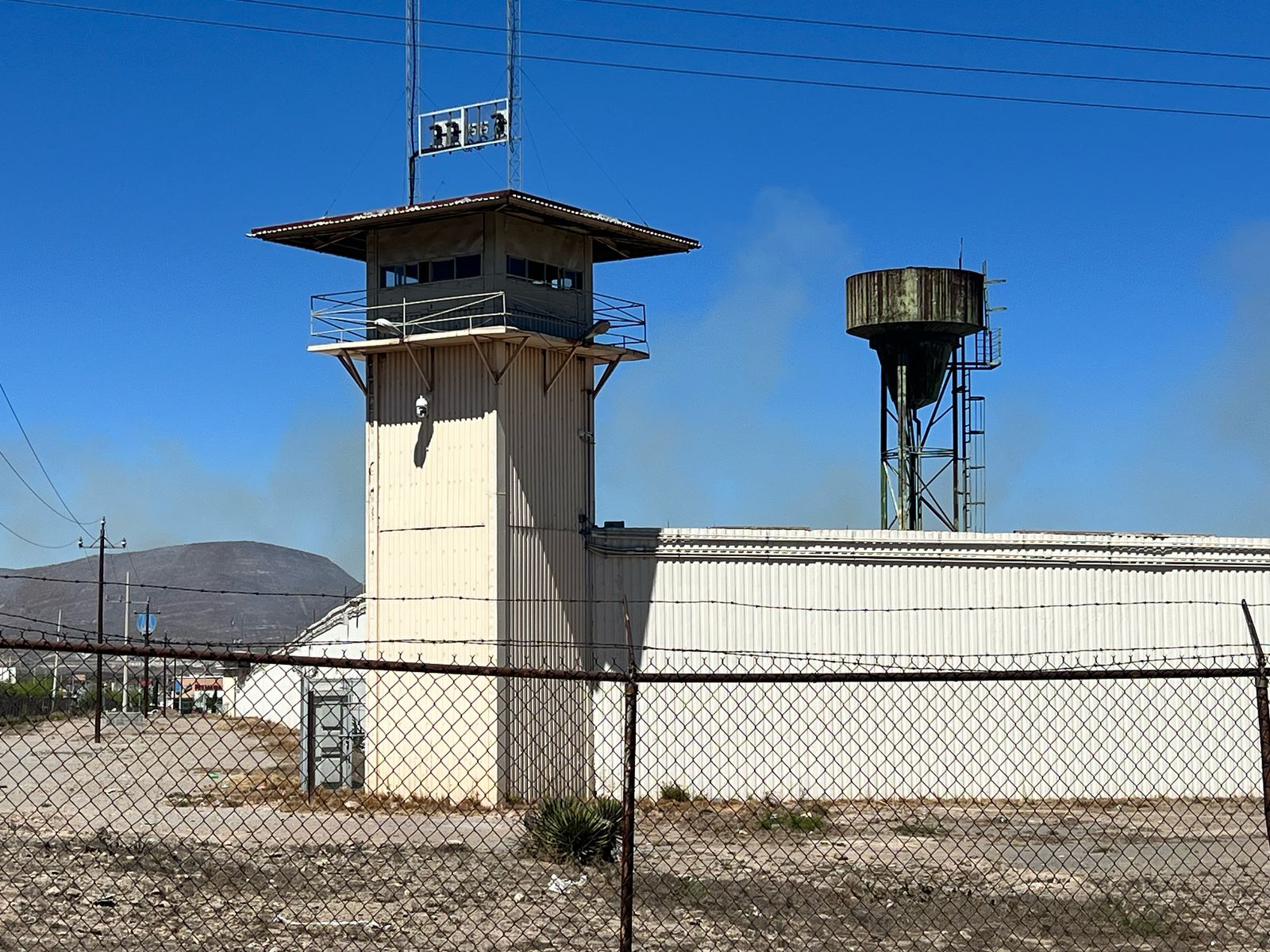 WhatsApp Image 2025-03-12 at 1.44.45 PM.jpeg