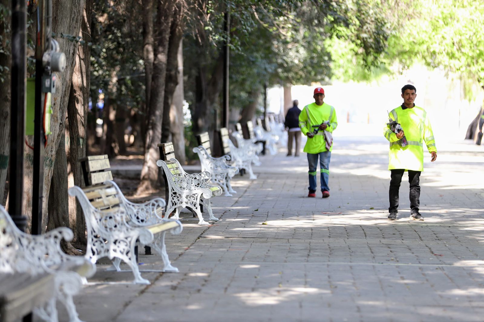 WhatsApp Image 2025-03-18 at 7.36.09 PM (1).jpeg