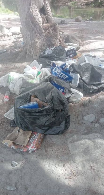 WhatsApp Image 2025-03-27 at 11.44.43 PM.jpeg