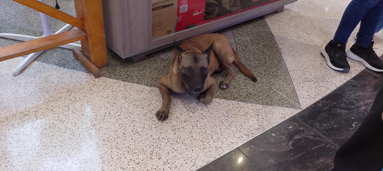 WhatsApp Image 2025-03-30 at 9.57.18 PM (1).jpeg