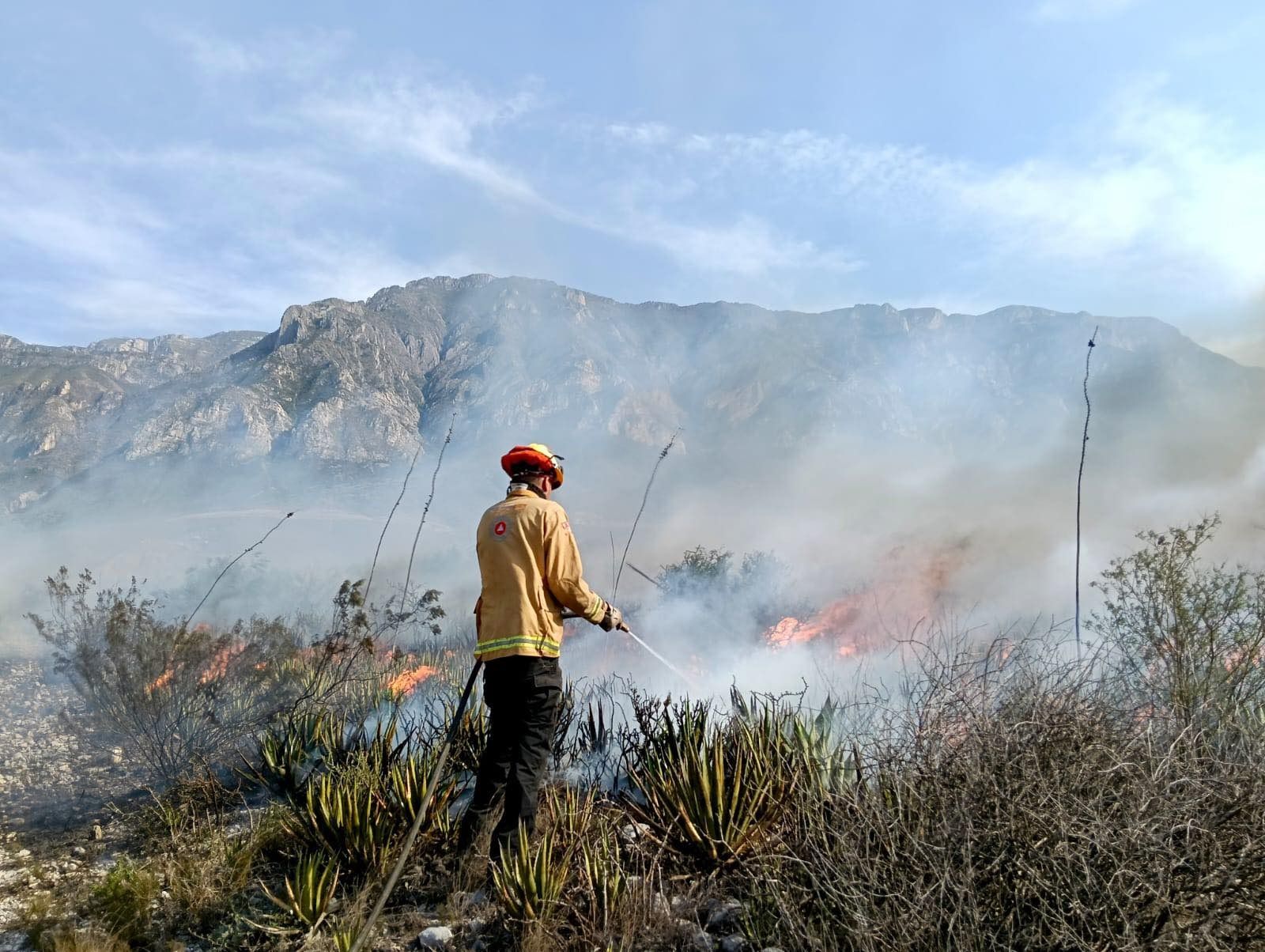 WhatsApp Image 2025-04-11 at 12.35.08 AM.jpeg