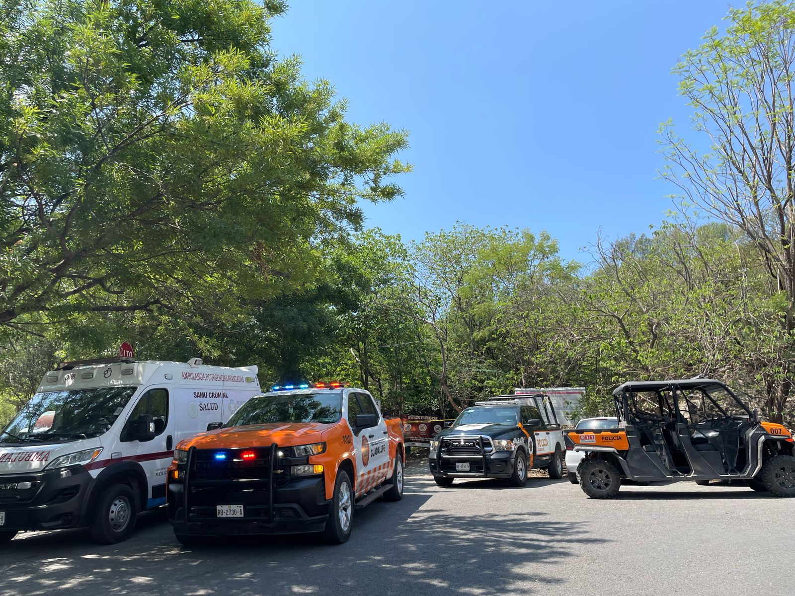 WhatsApp Image 2025-04-16 at 12.55.38 PM.jpeg