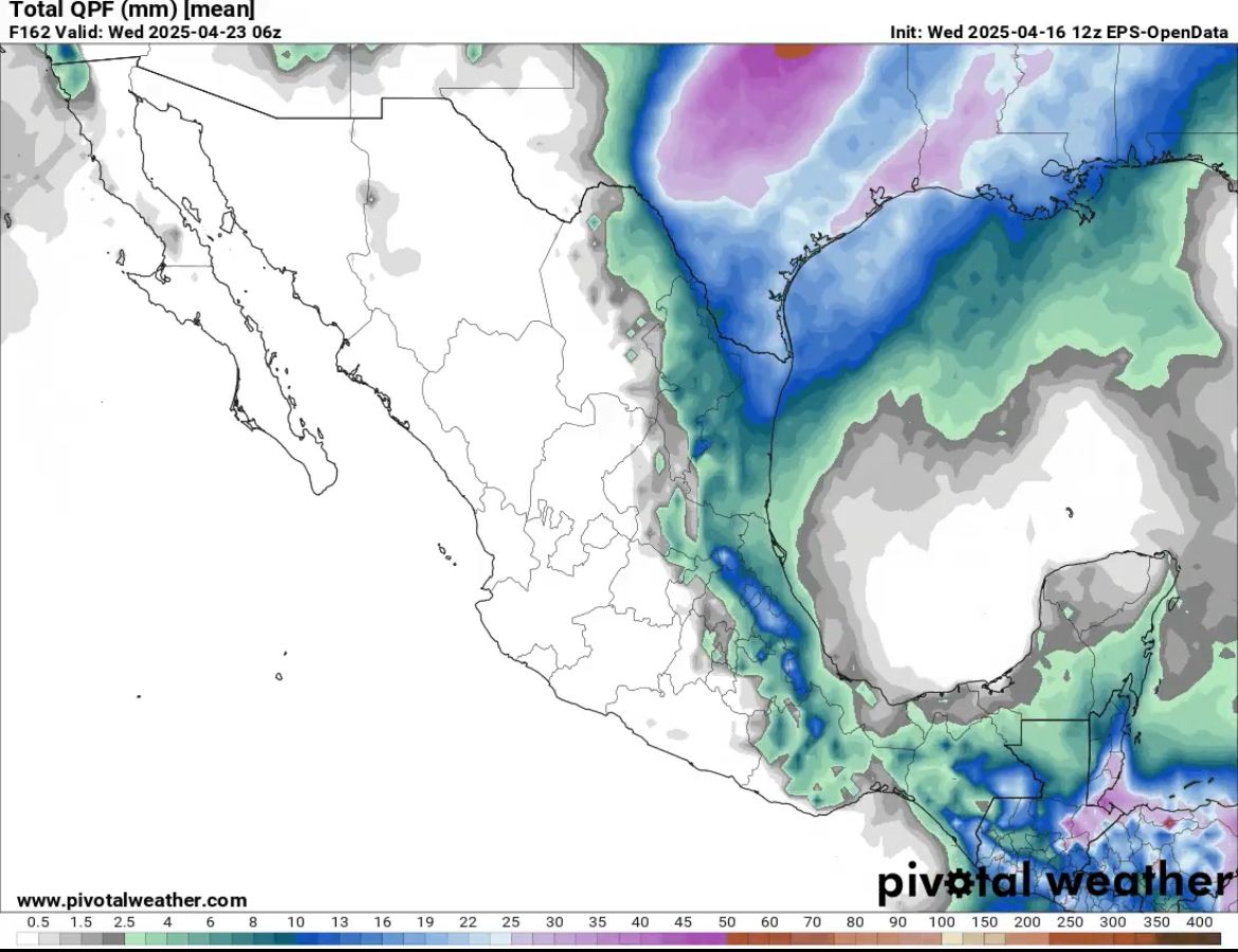 WhatsApp Image 2025-04-17 at 12.40.36 PM.jpeg