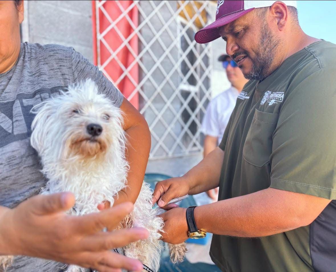 WhatsApp Image 2025-04-17 at 2.20.25 PM (2).jpeg