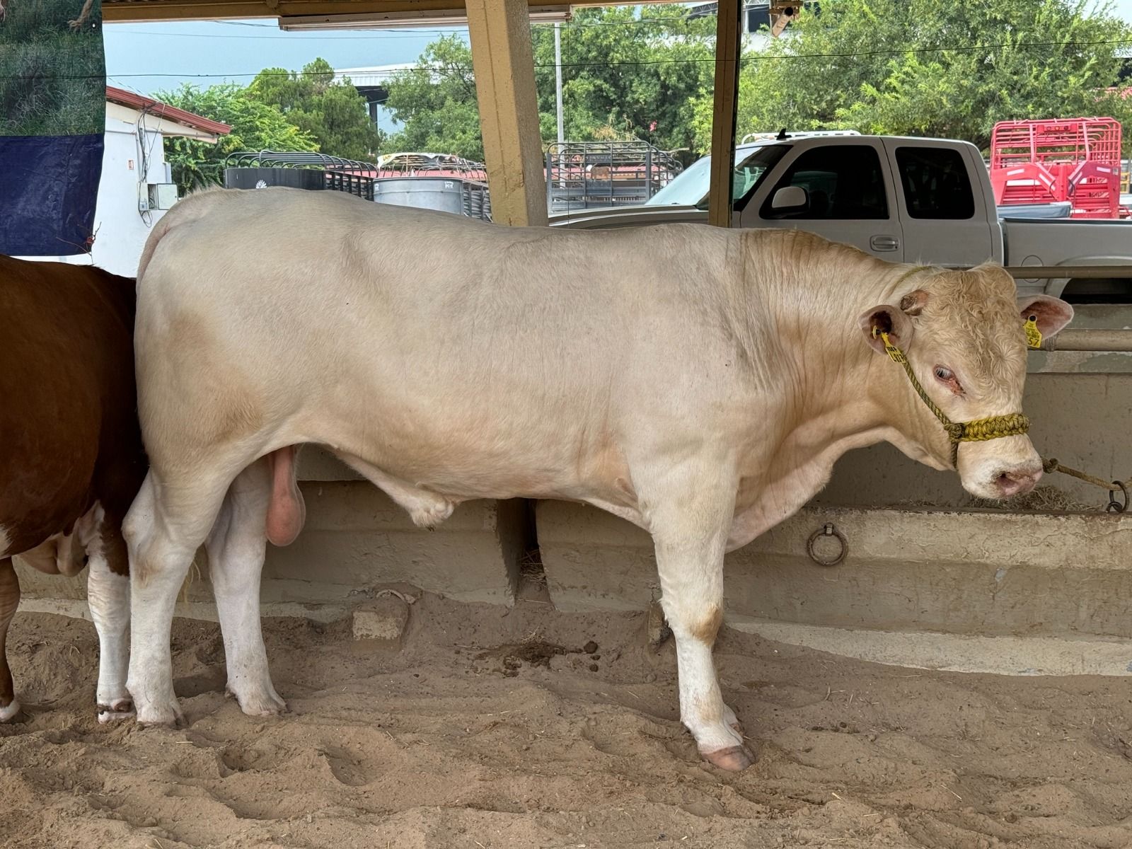 WhatsApp Image 2025-04-17 at 6.03.09 PM.jpeg