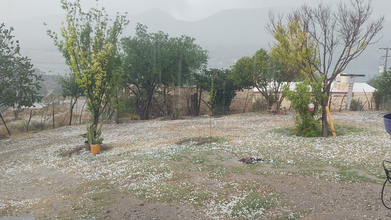 WhatsApp Image 2025-04-26 at 4.42.17 PM.jpeg