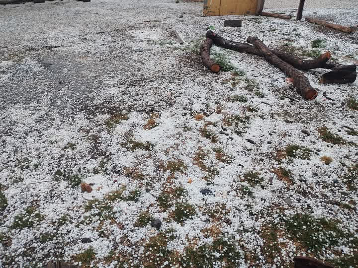 WhatsApp Image 2025-04-26 at 5.02.04 PM.jpeg