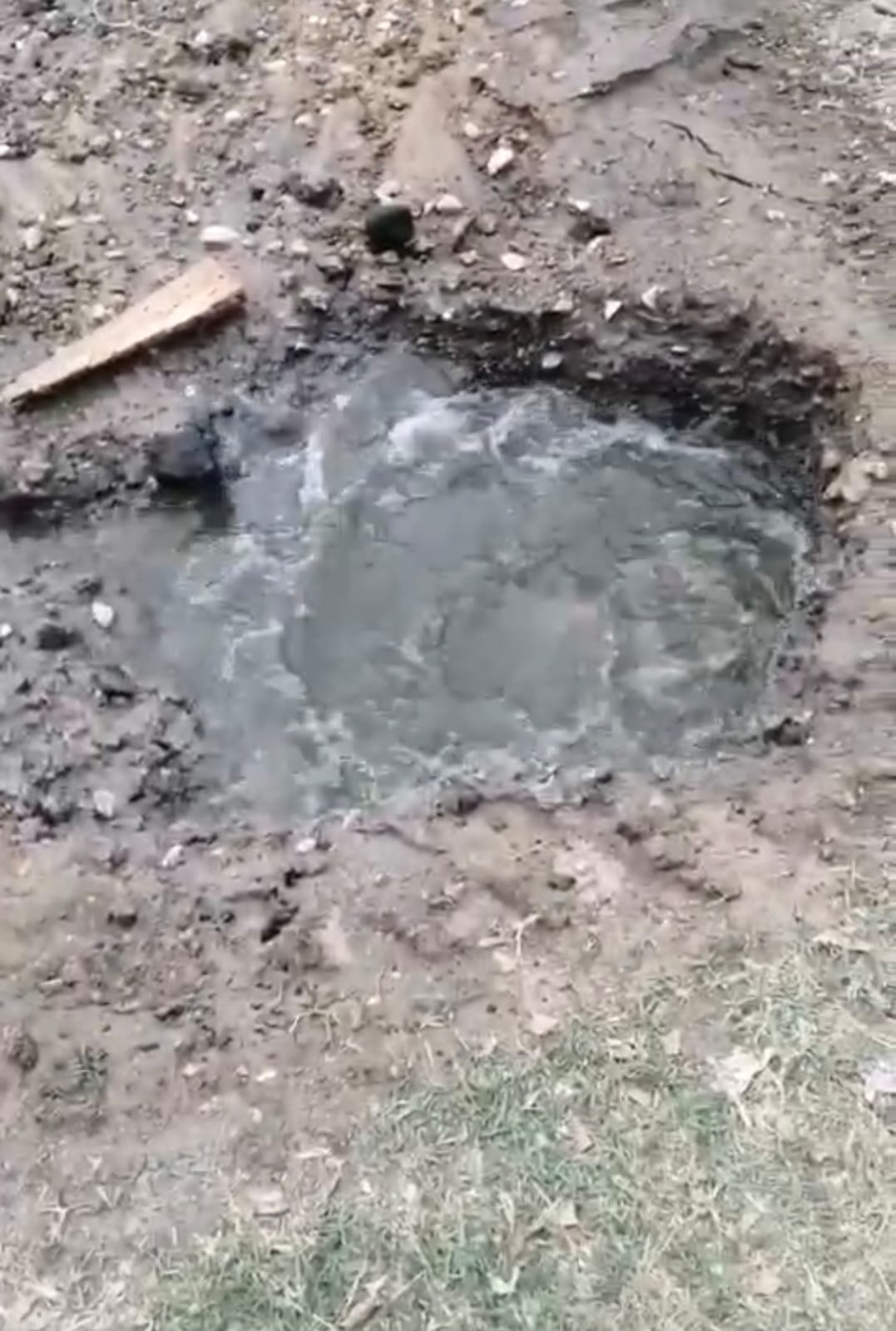 WhatsApp Image 2025-04-28 at 1.43.24 PM.jpeg