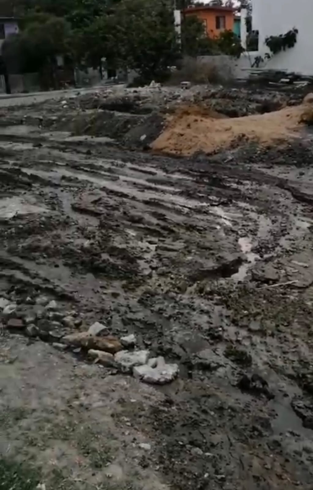 WhatsApp Image 2025-04-28 at 1.43.25 PM.jpeg