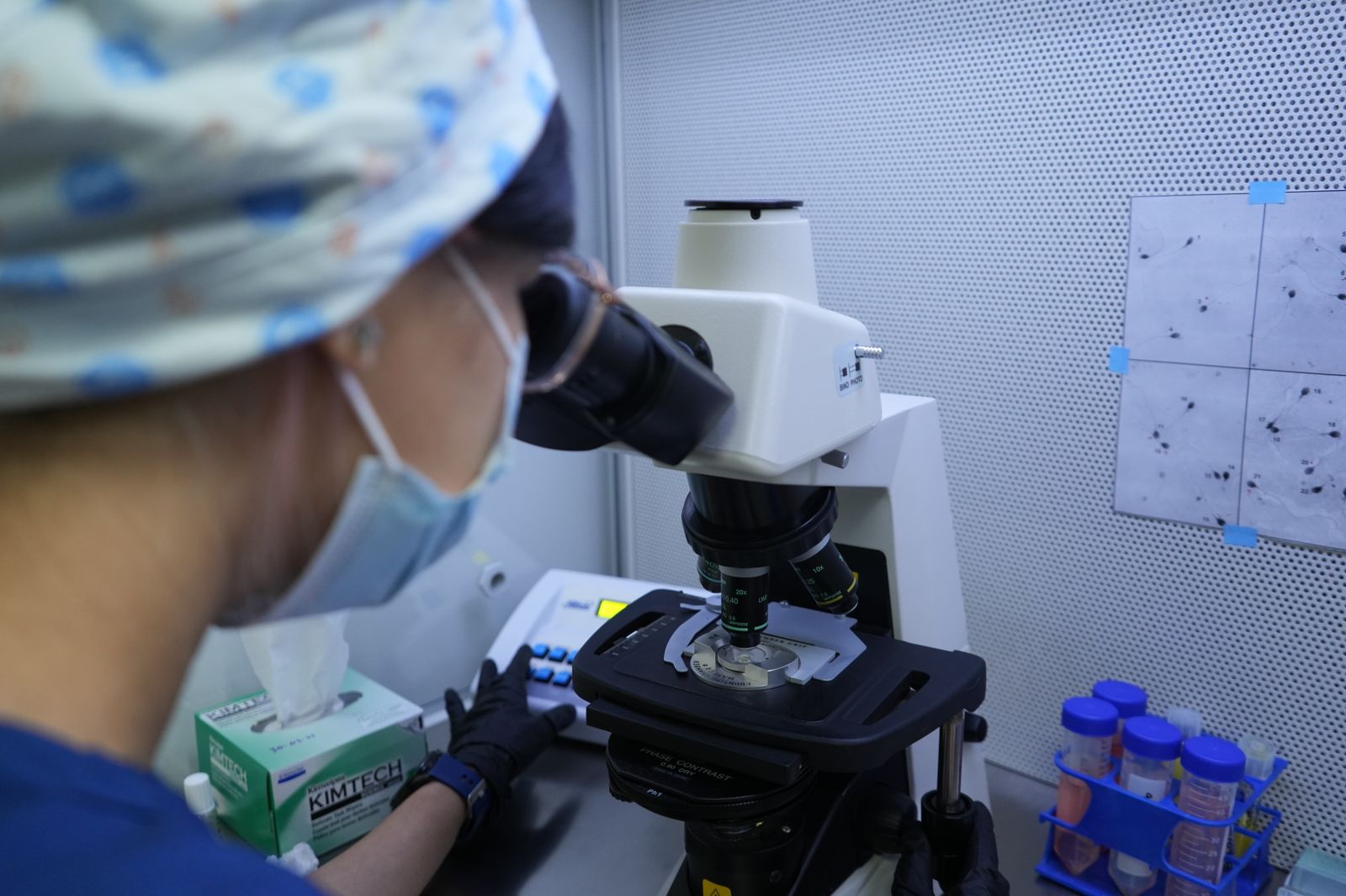 WhatsApp Image 2025-04-29 at 10.09.00 AM.jpeg