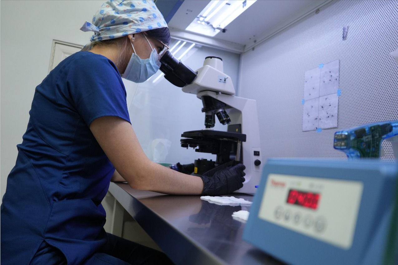 WhatsApp Image 2025-04-30 at 3.12.36 PM.jpeg