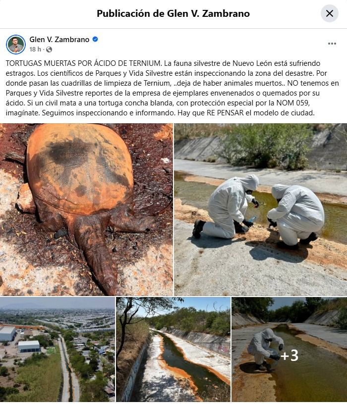 WhatsApp Image 2025-05-01 at 12.10.48 PM.jpeg