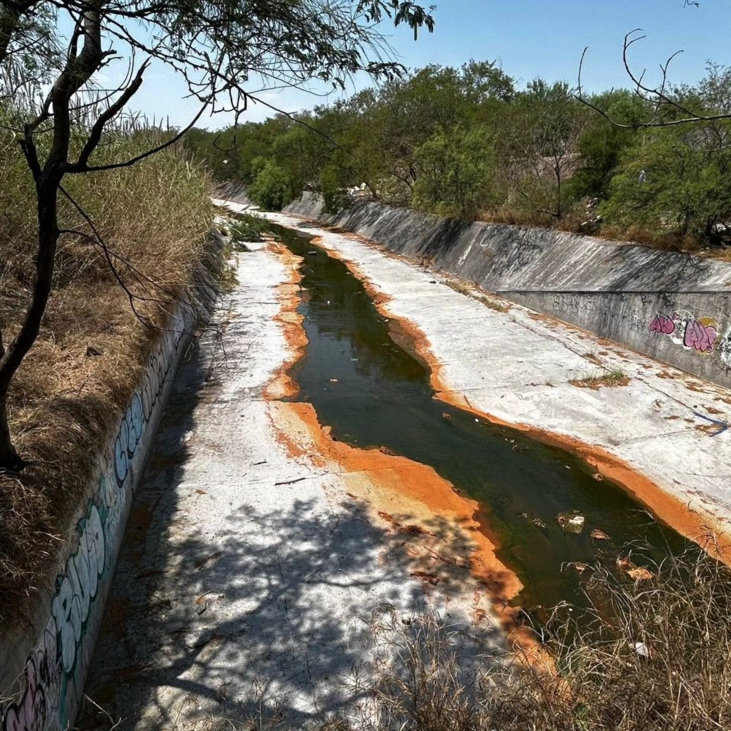 WhatsApp Image 2025-05-01 at 12.10.57 PM.jpeg