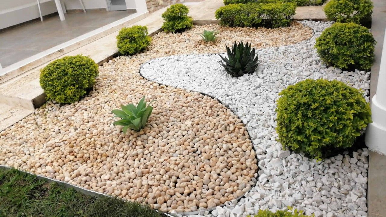 WhatsApp Image 2025-05-01 at 3.58.59 PM.jpeg