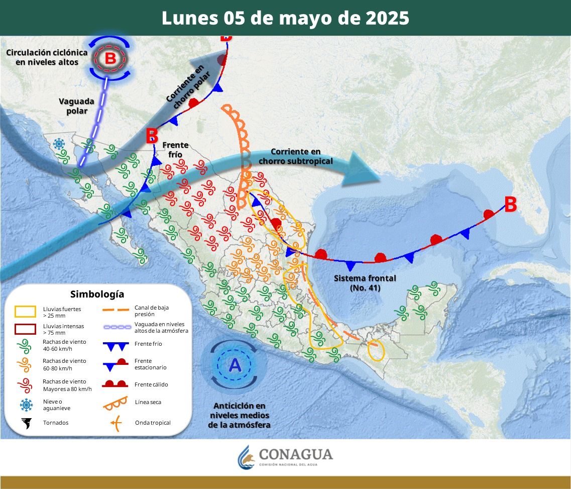 WhatsApp Image 2025-05-01 at 5.53.00 PM (2).jpeg