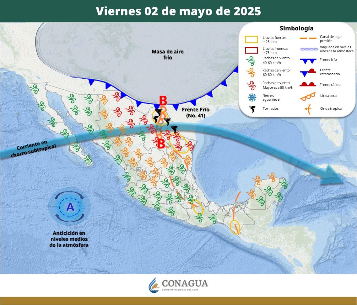 WhatsApp Image 2025-05-01 at 5.53.00 PM (3).jpeg