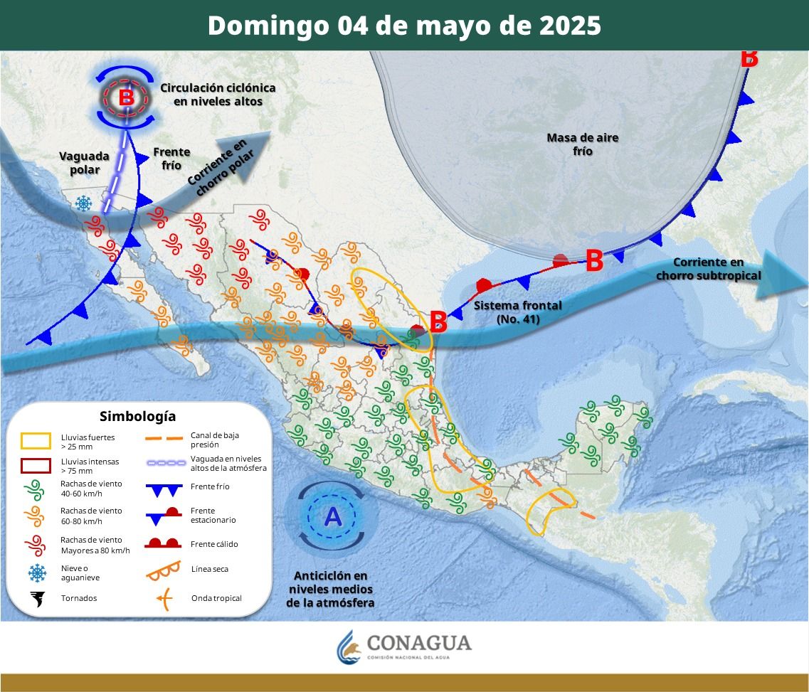 WhatsApp Image 2025-05-01 at 5.53.00 PM.jpeg