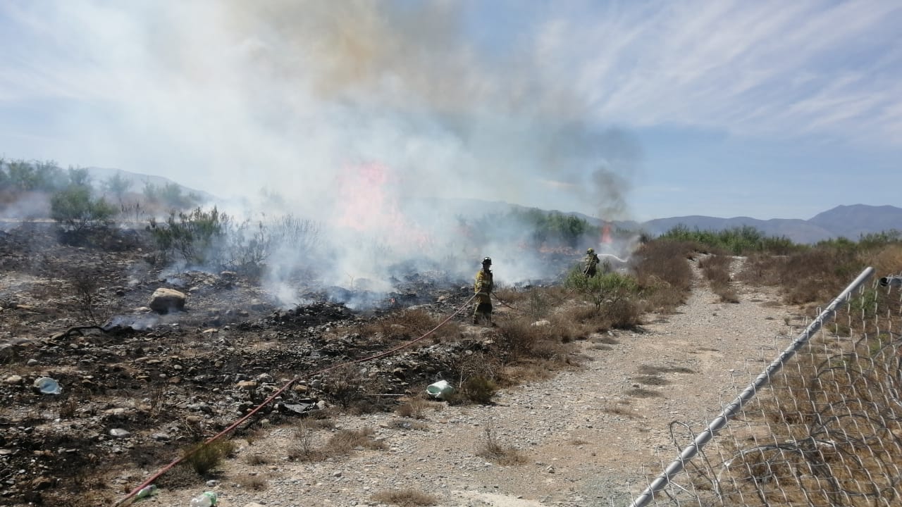 WhatsApp Image 2025-05-06 at 1.45.53 PM (1).jpeg