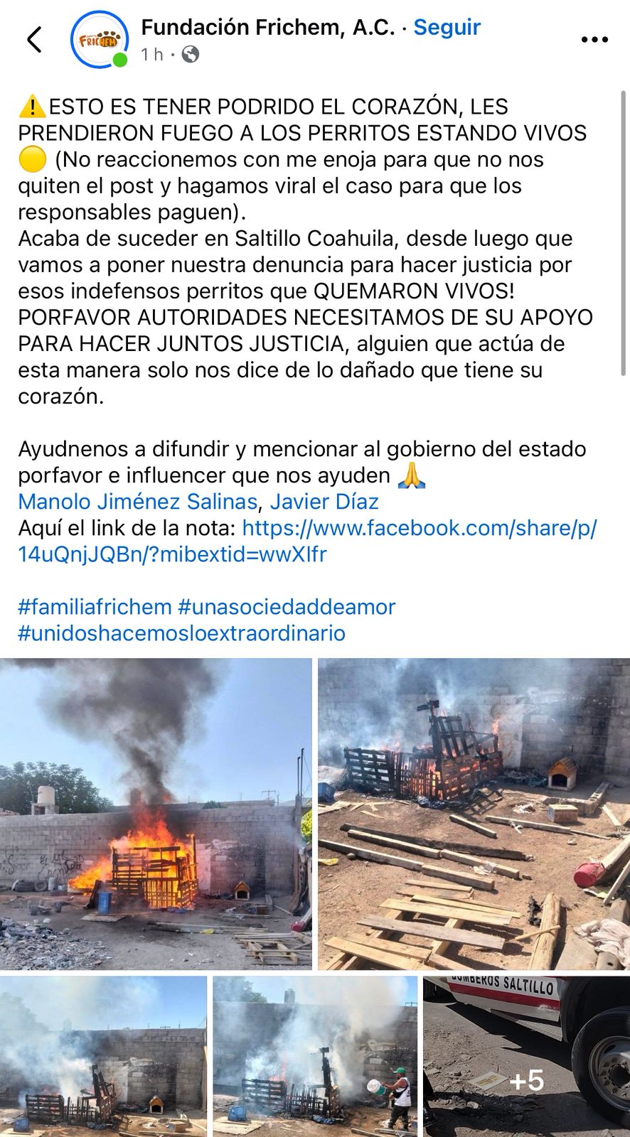 WhatsApp Image 2025-05-12 at 3.31.54 PM.jpeg