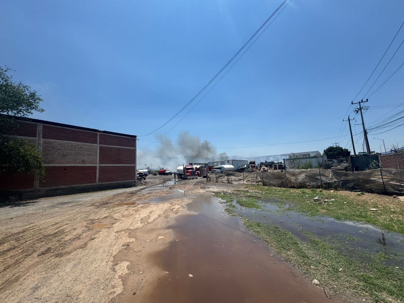 WhatsApp Image 2025-05-15 at 2.49.15 PM.jpeg