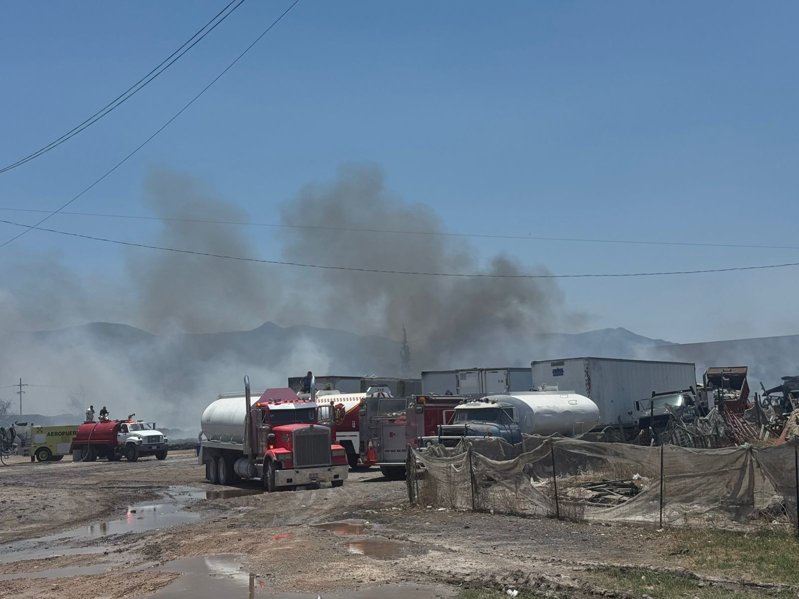 WhatsApp Image 2025-05-15 at 2.49.16 PM.jpeg