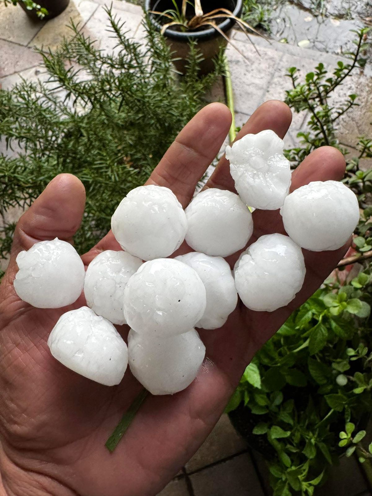 WhatsApp Image 2025-05-18 at 8.15.12 PM.jpeg