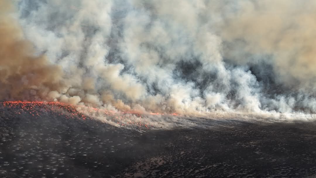 WhatsApp Image 2025-05-20 at 6.01.05 PM (2).jpeg