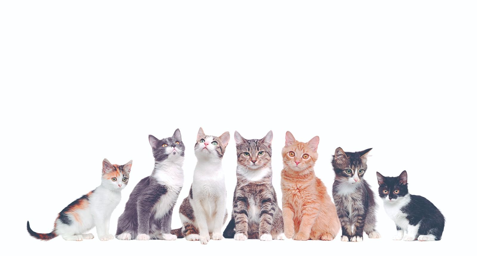 WhatsApp Image 2025-05-21 at 6.43.31 PM (2).jpeg