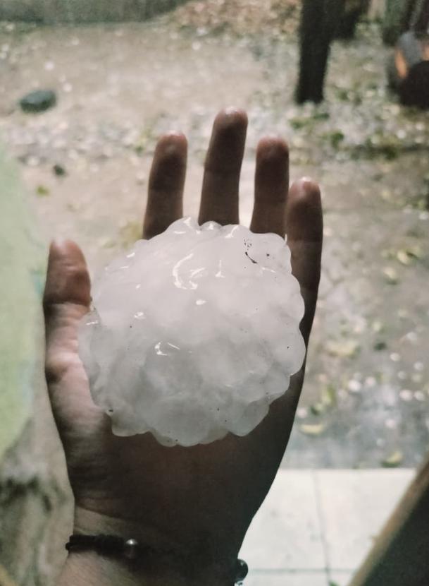 WhatsApp Image 2025-05-21 at 7.04.05 PM.jpeg