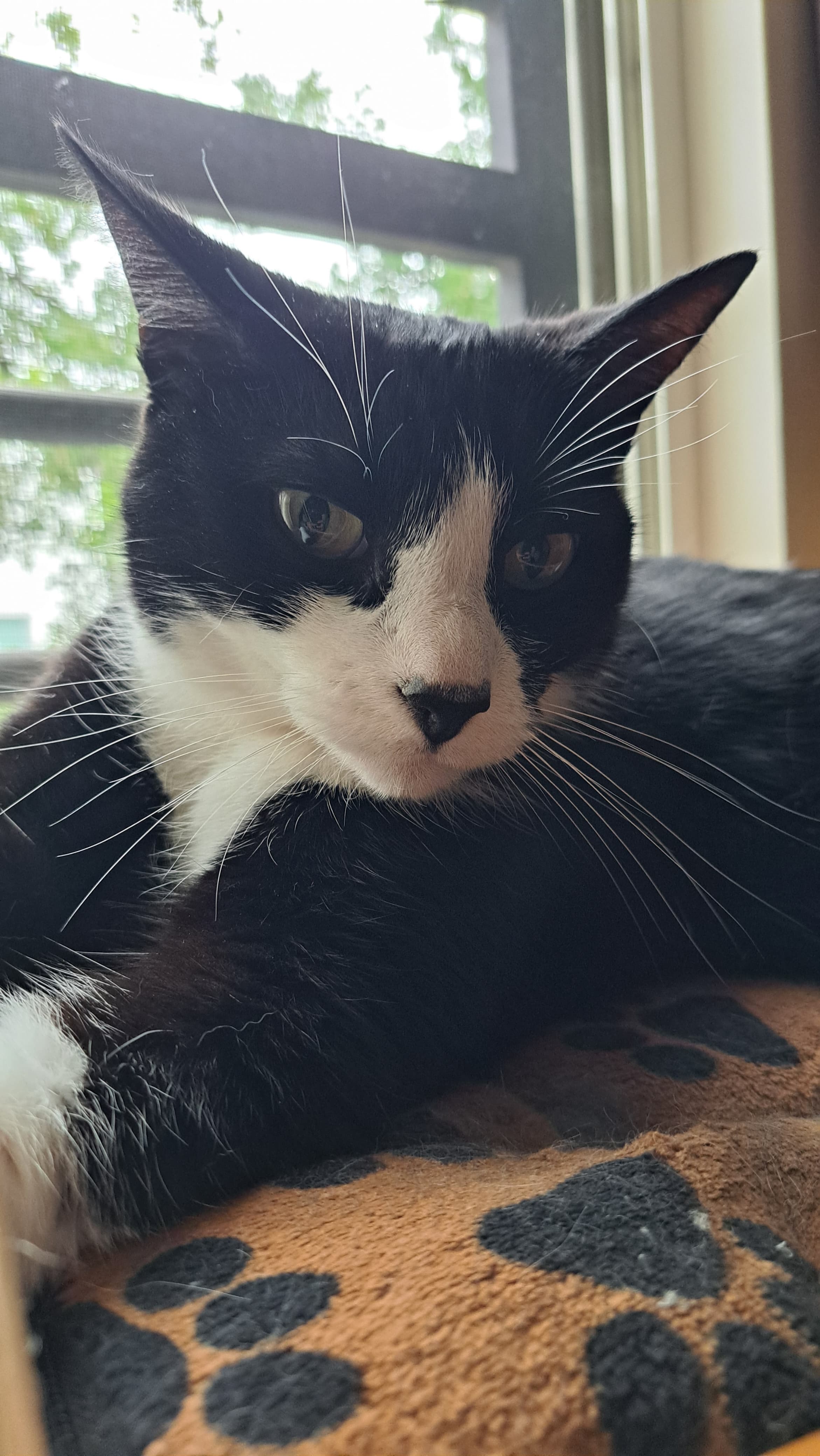 WhatsApp Image 2025-05-23 at 10.55.23 PM.jpeg