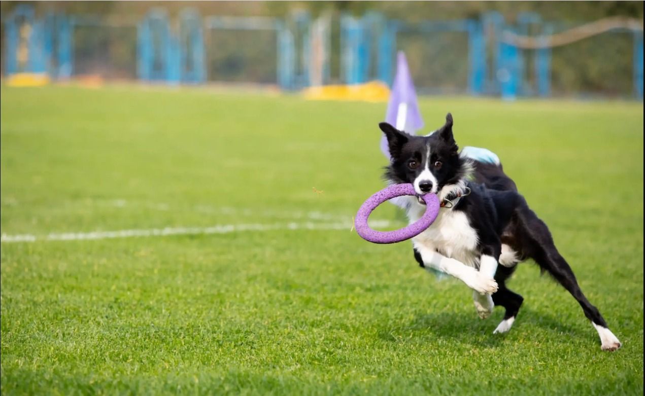 WhatsApp Image 2025-05-23 at 2.16.26 PM (1).jpeg