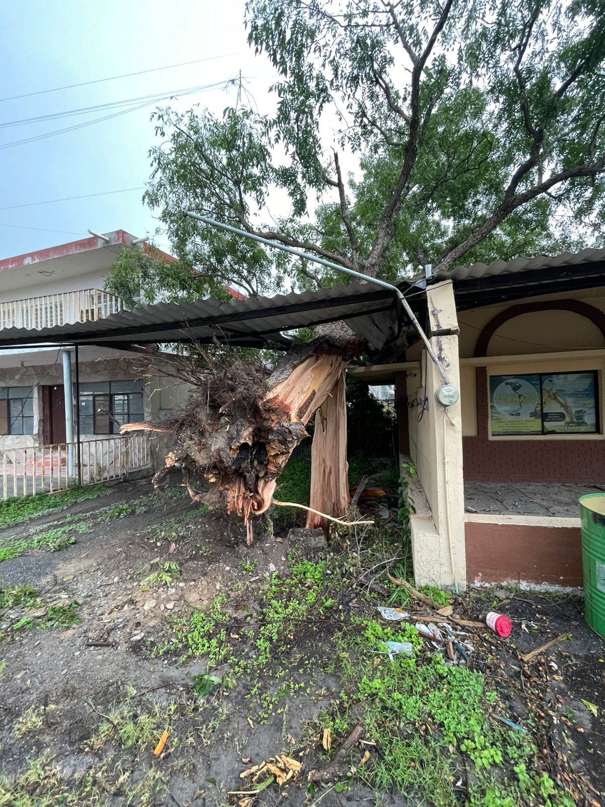 WhatsApp Image 2025-05-27 at 9.33.24 AM (1).jpeg