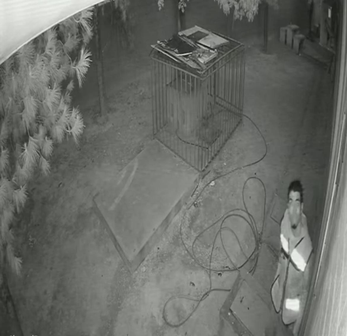 WhatsApp Image 2025-05-28 at 10.30.01 AM.jpeg