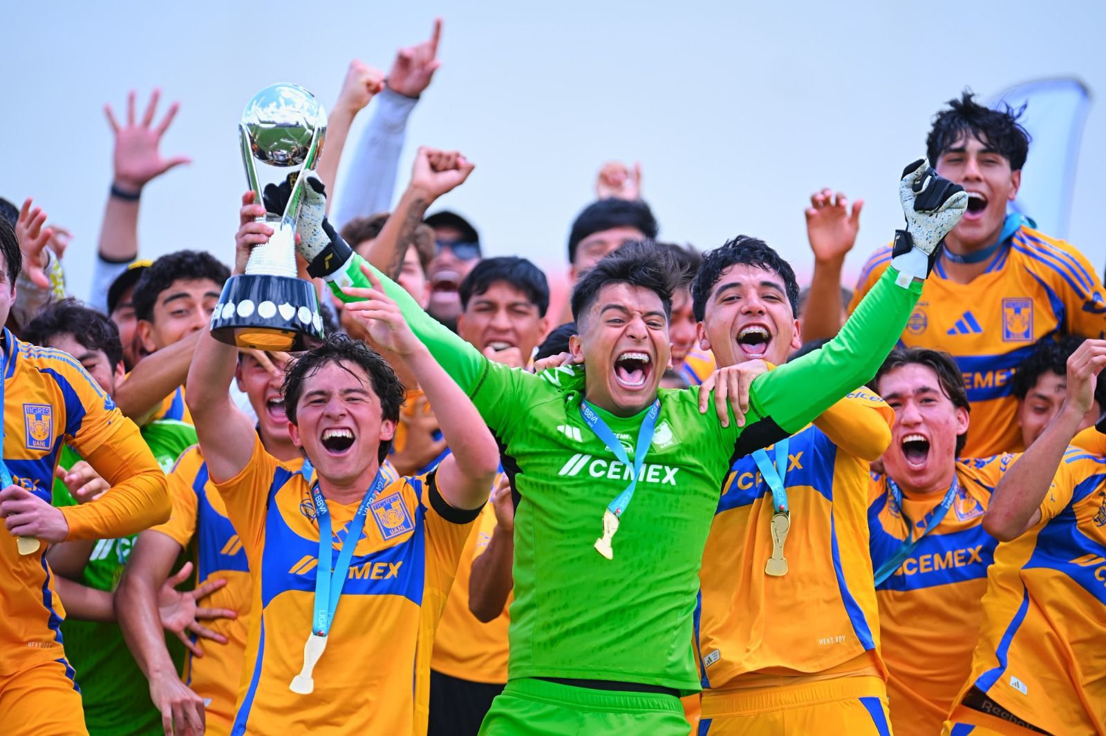 WhatsApp Image 2025-05-29 at 12.20.59 AM.jpeg