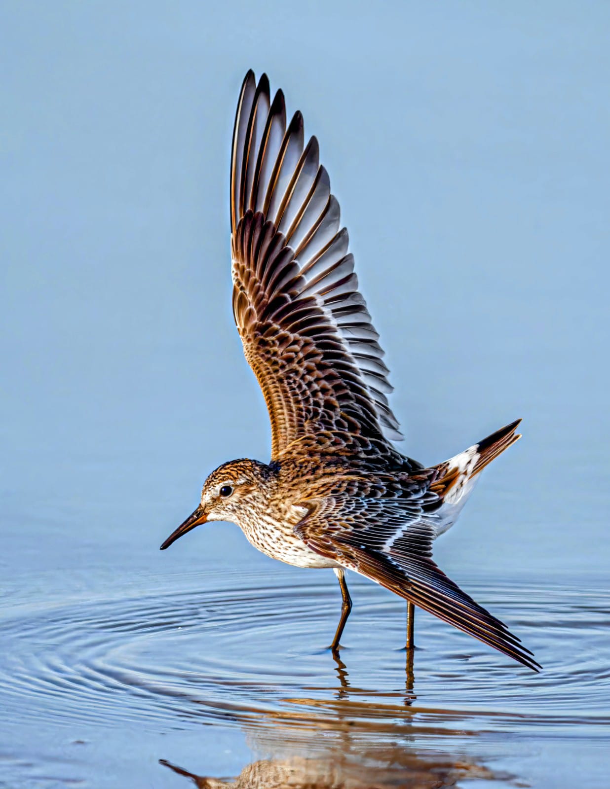 WhatsApp Image 2025-05-30 at 3.27.19 PM (1).jpeg