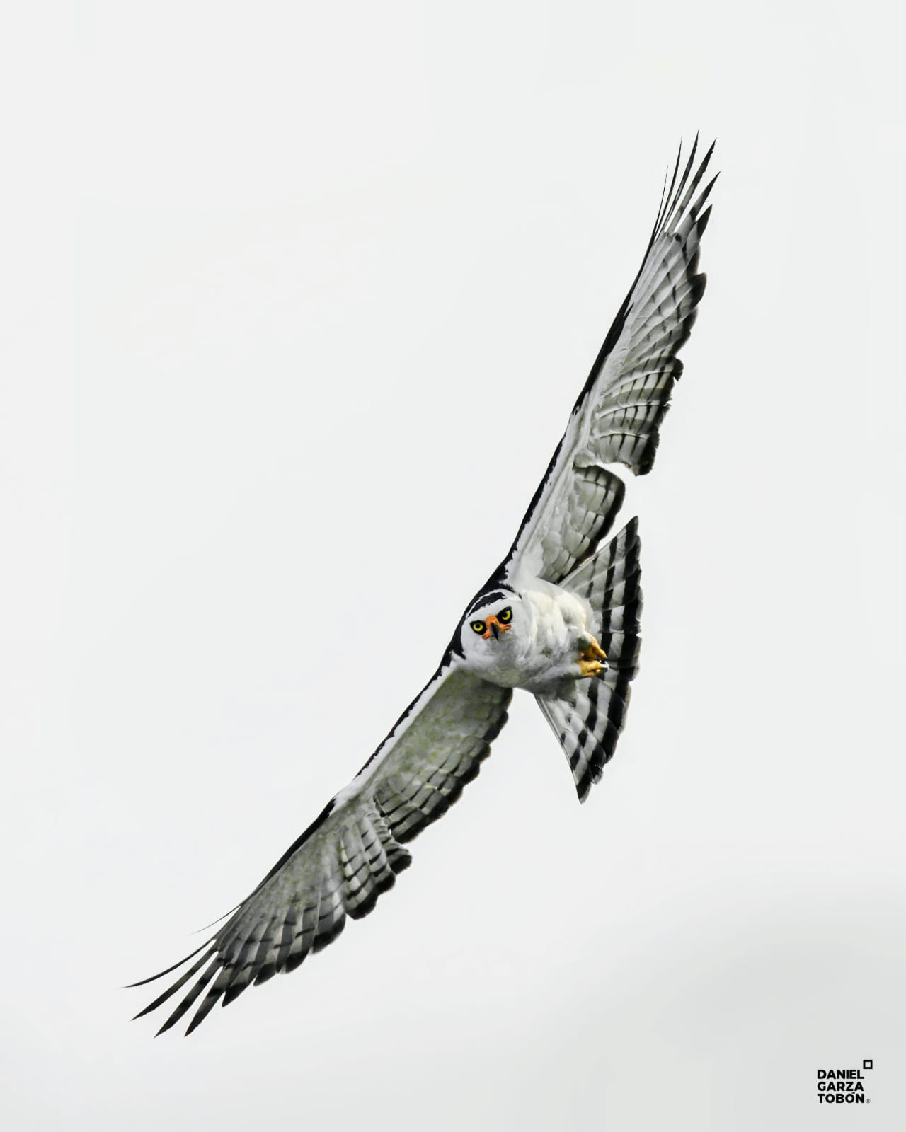 WhatsApp Image 2025-05-30 at 3.27.19 PM.jpeg