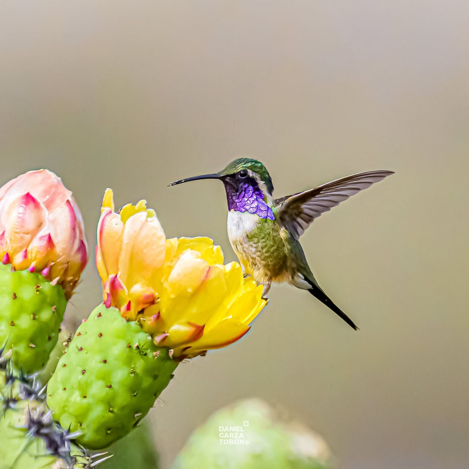 WhatsApp Image 2025-05-30 at 3.27.20 PM.jpeg