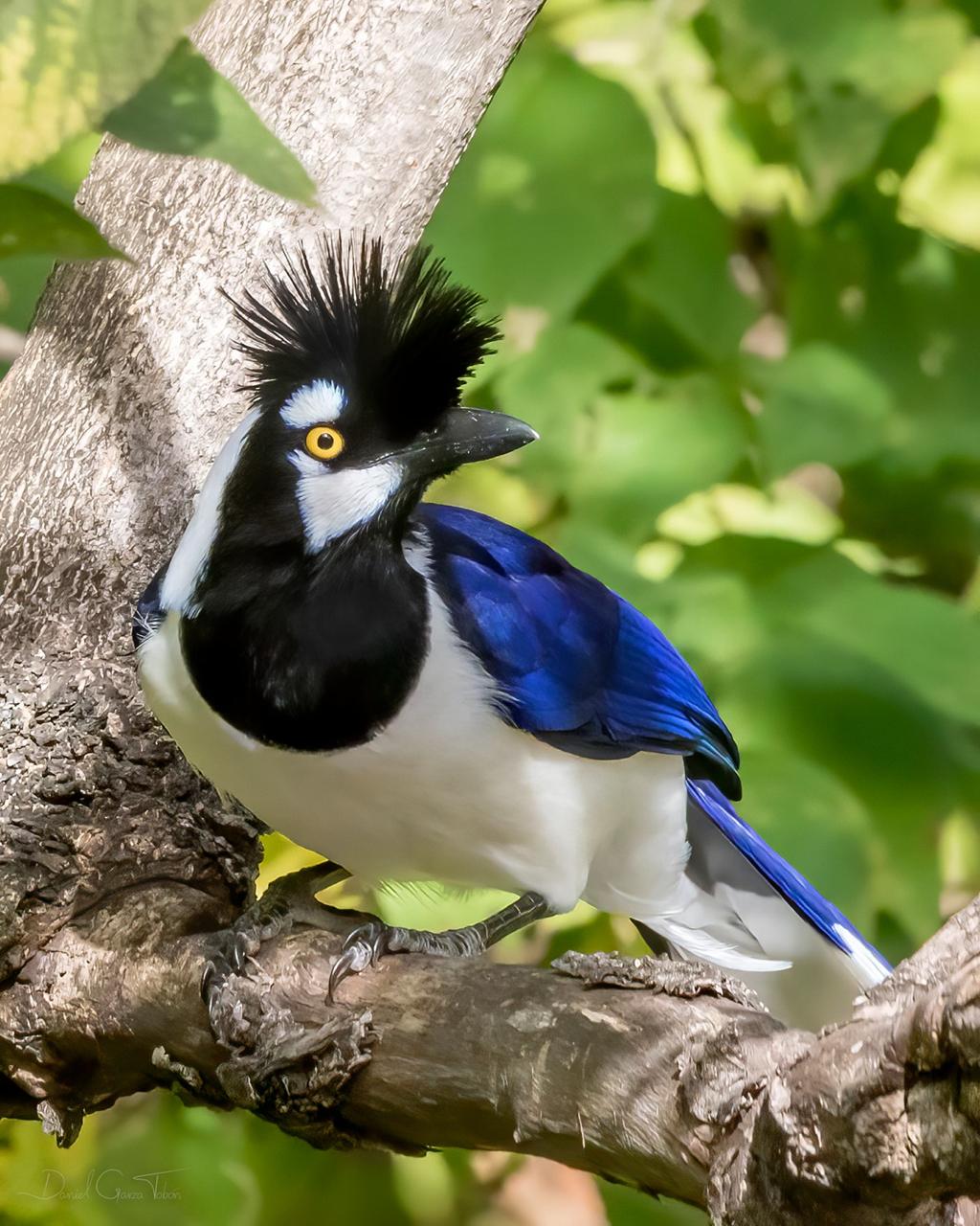 WhatsApp Image 2025-05-30 at 3.28.24 PM (1).jpeg