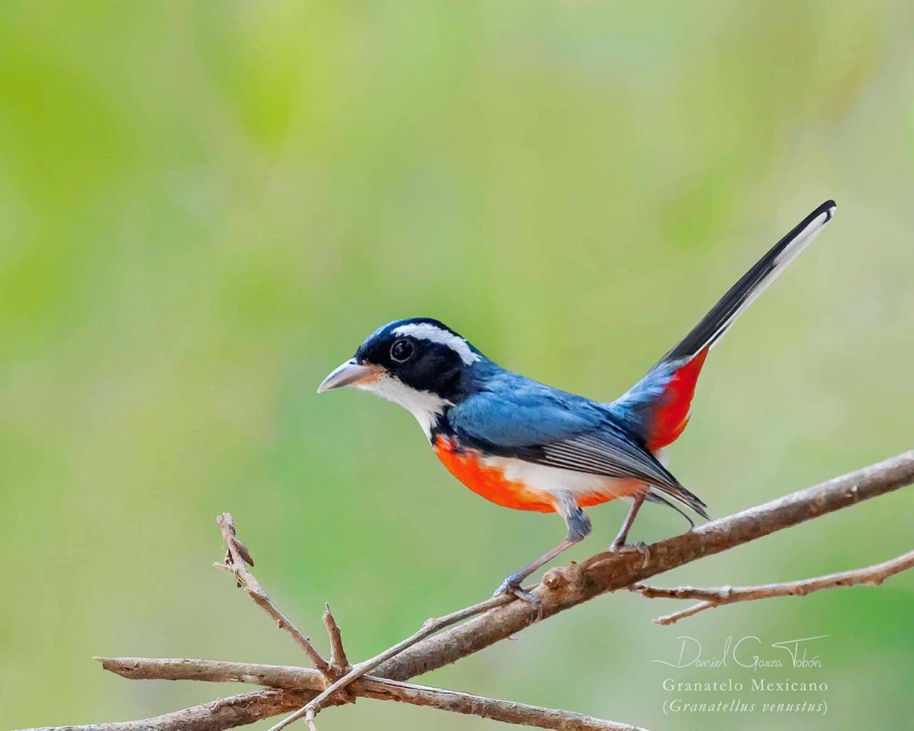 WhatsApp Image 2025-05-30 at 3.28.24 PM.jpeg