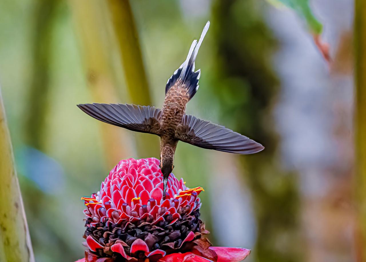 WhatsApp Image 2025-05-30 at 3.28.25 PM.jpeg