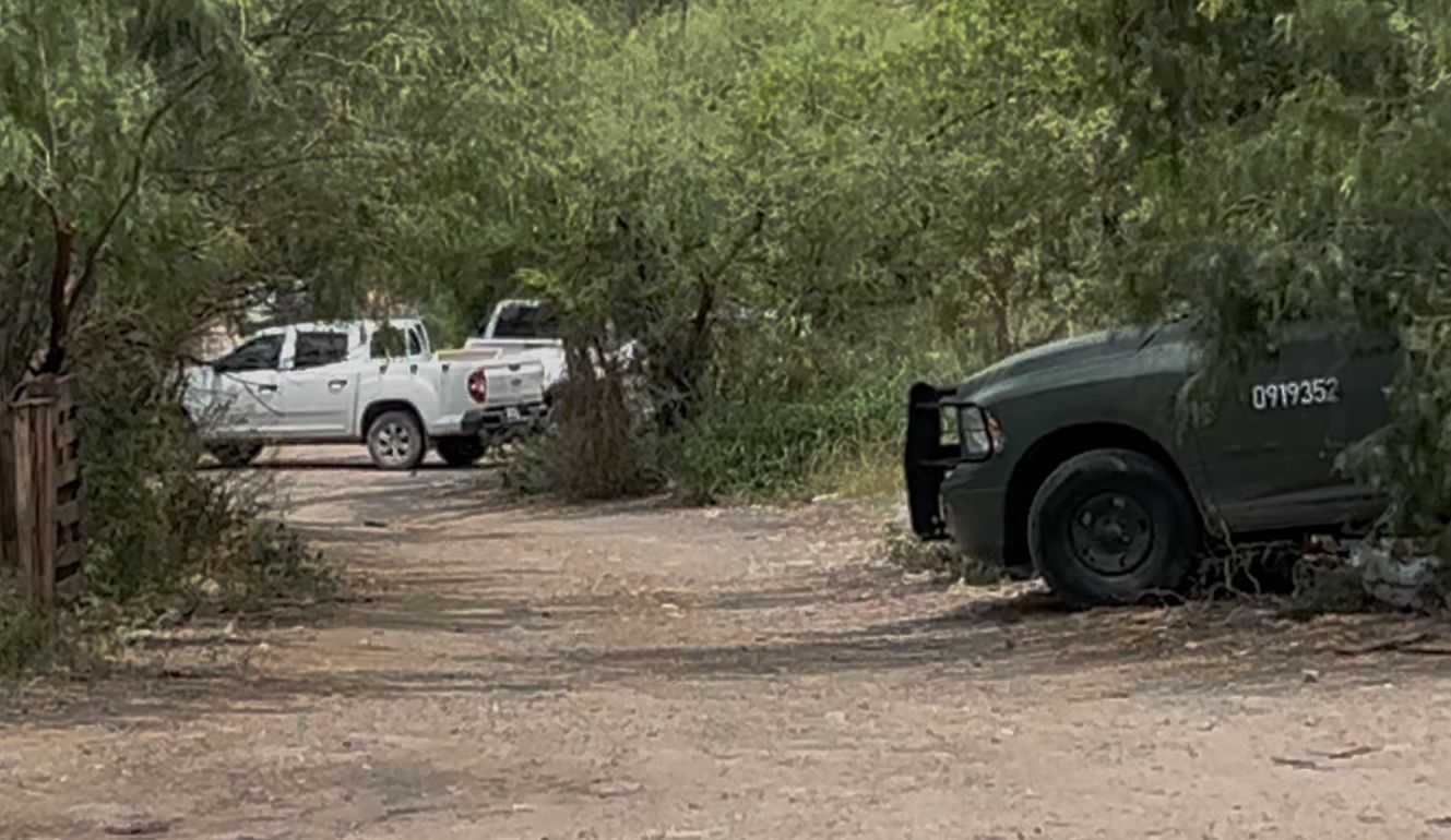 WhatsApp Image 2025-06-03 at 8.15.53 PM.jpeg