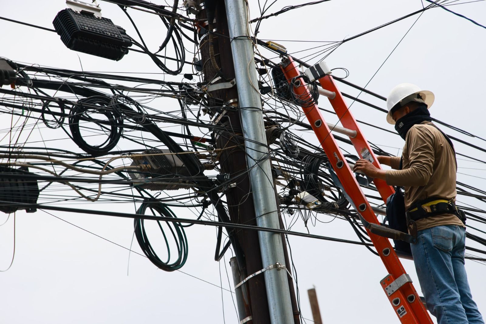 WhatsApp Image 2025-06-05 at 11.46.36 AM.jpeg