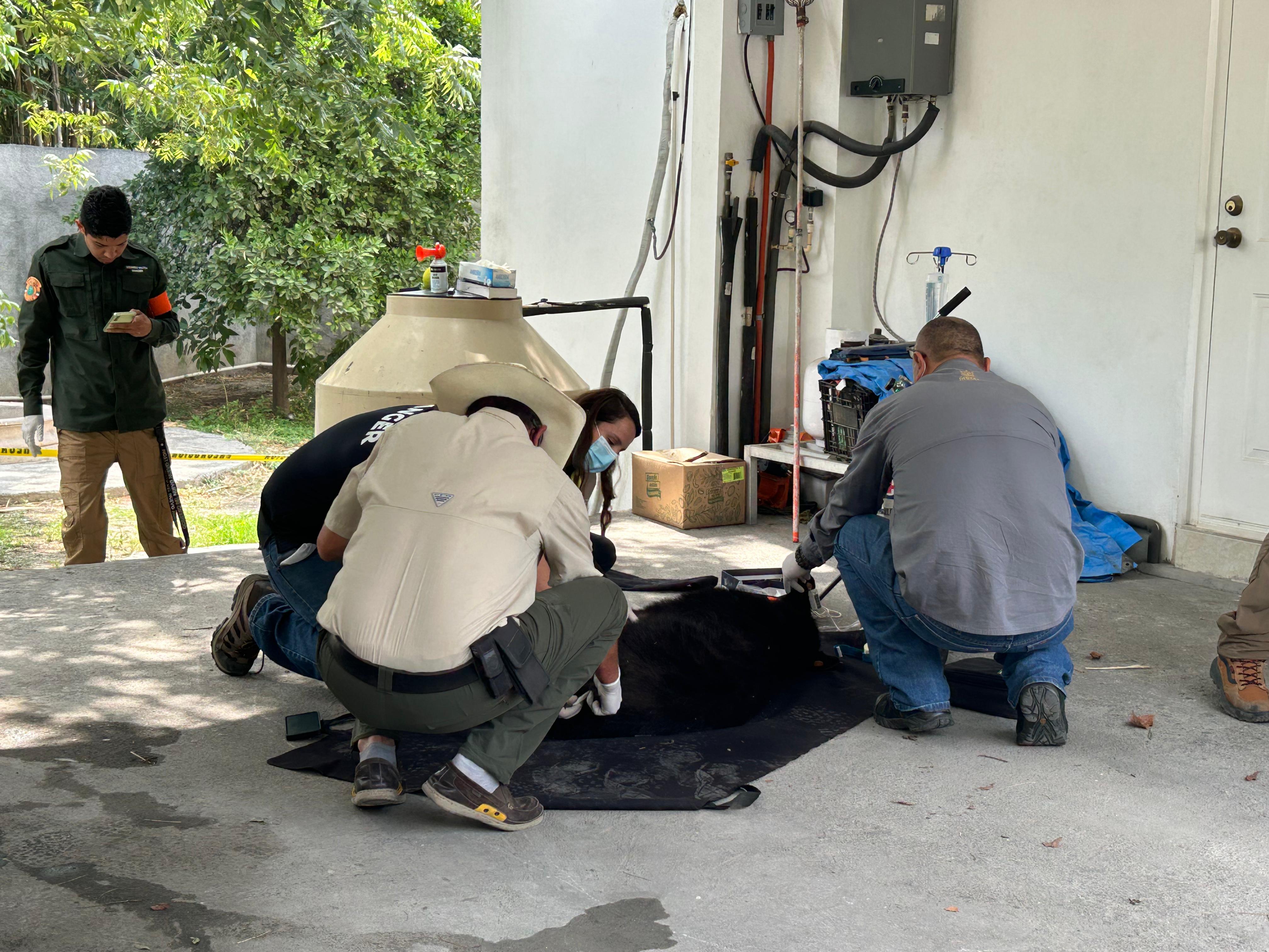 WhatsApp Image 2025-06-10 at 11.31.14 AM.jpeg