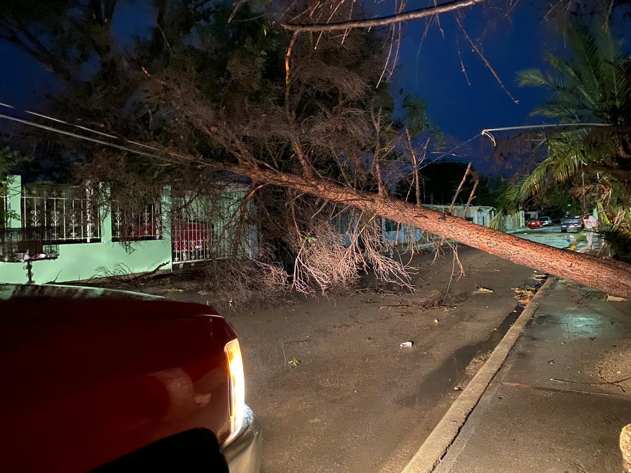 WhatsApp Image 2025-06-11 at 10.00.55 AM.jpeg