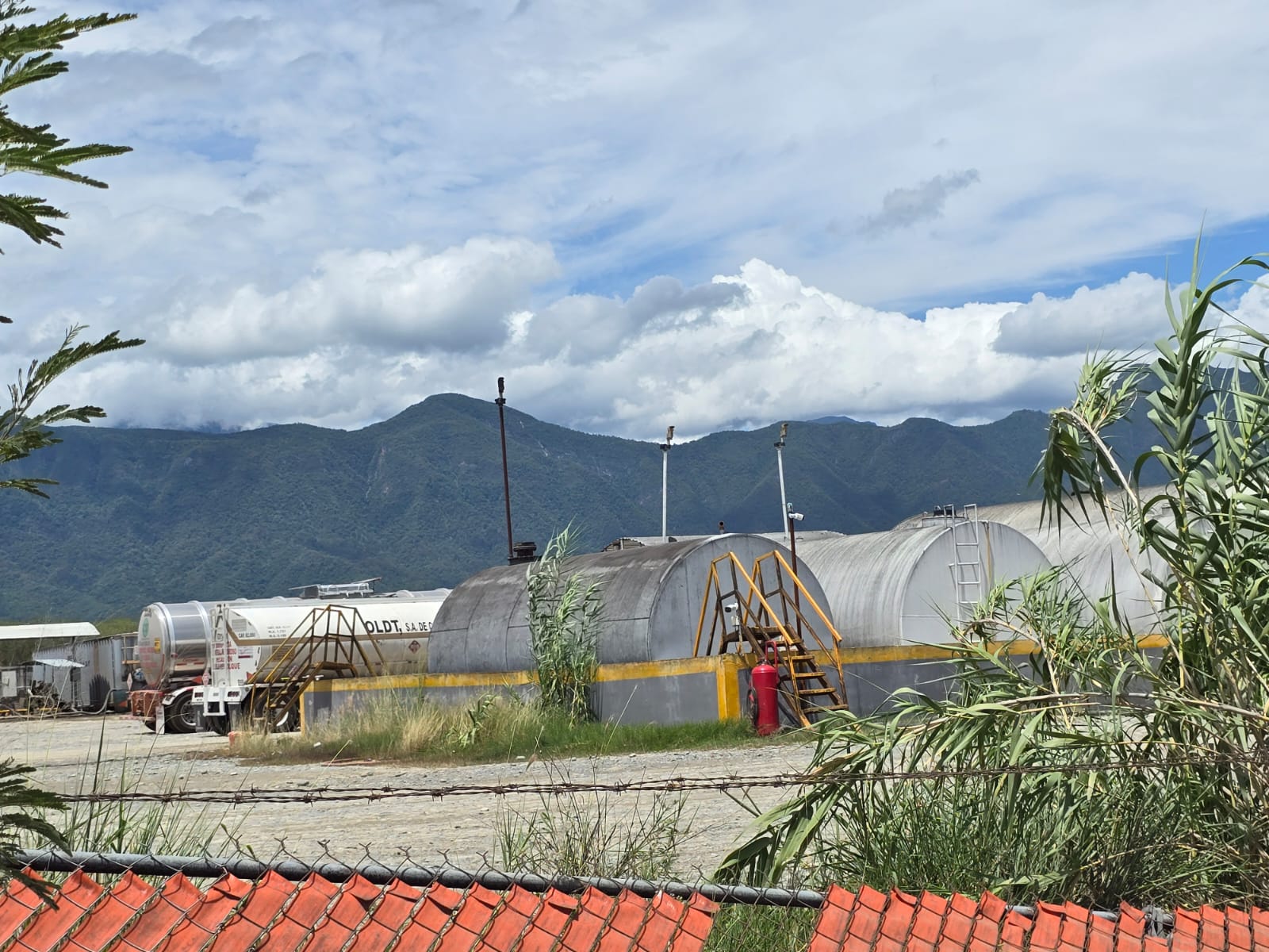 WhatsApp Image 2025-06-20 at 12.28.03 AM.jpeg