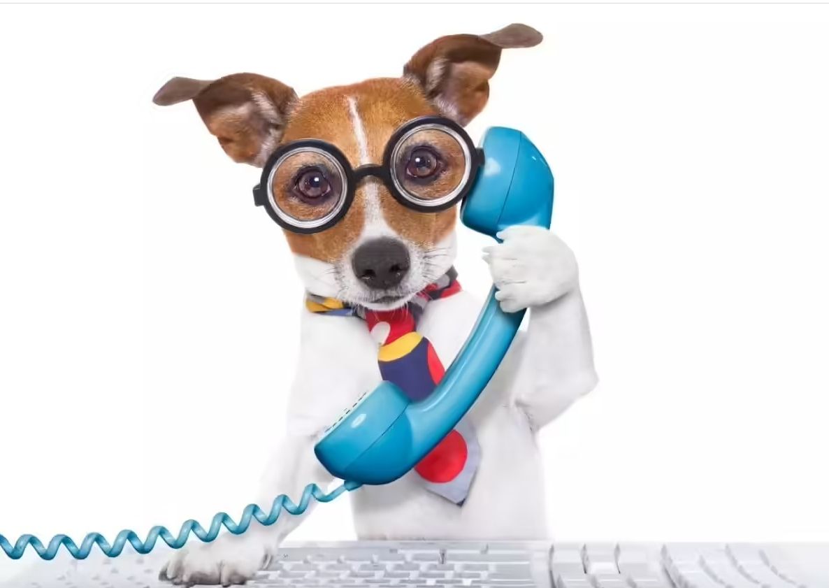 WhatsApp Image 2025-07-01 at 3.00.29 PM.jpeg